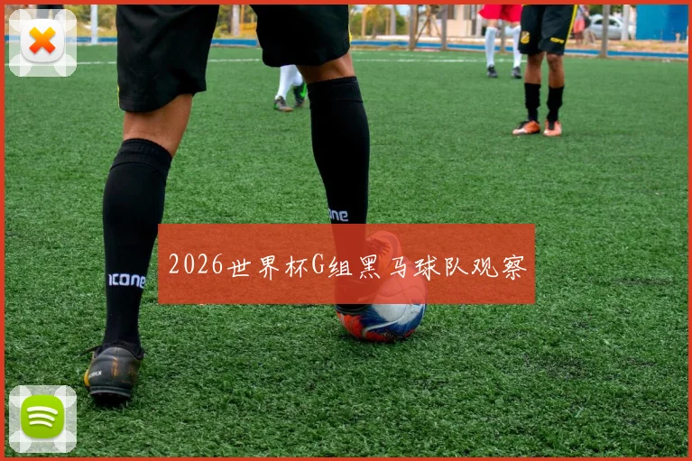 2026世界杯G组黑马球队观察