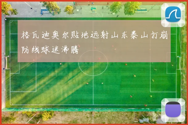 格瓦迪奥尔贴地远射山东泰山打崩防线球迷沸腾