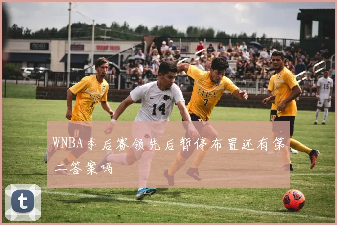 WNBA季后赛领先后暂停布置还有第二答案吗