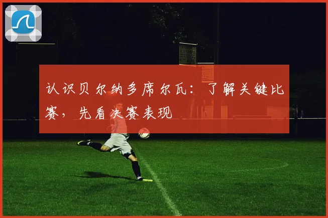 认识贝尔纳多席尔瓦:了解关键比赛,先看决赛表现