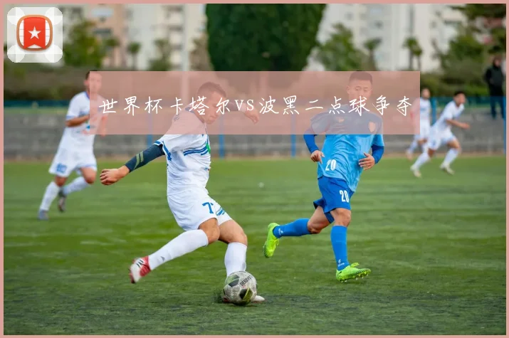 世界杯卡塔尔vs波黑二点球争夺