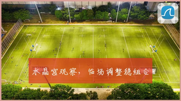 水晶宫观察，临场调整稳组合