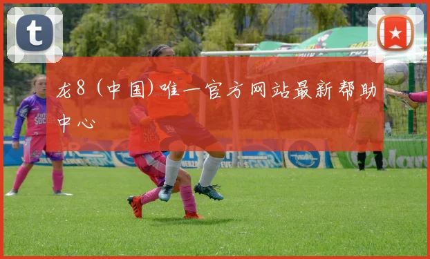 龙8 (中国)唯一官方网站最新帮助中心