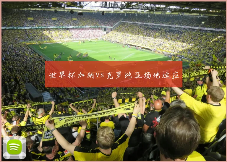 世界杯加纳vs克罗地亚场地适应